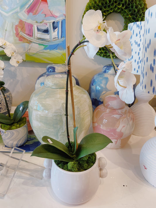 White orchid in bubble pot