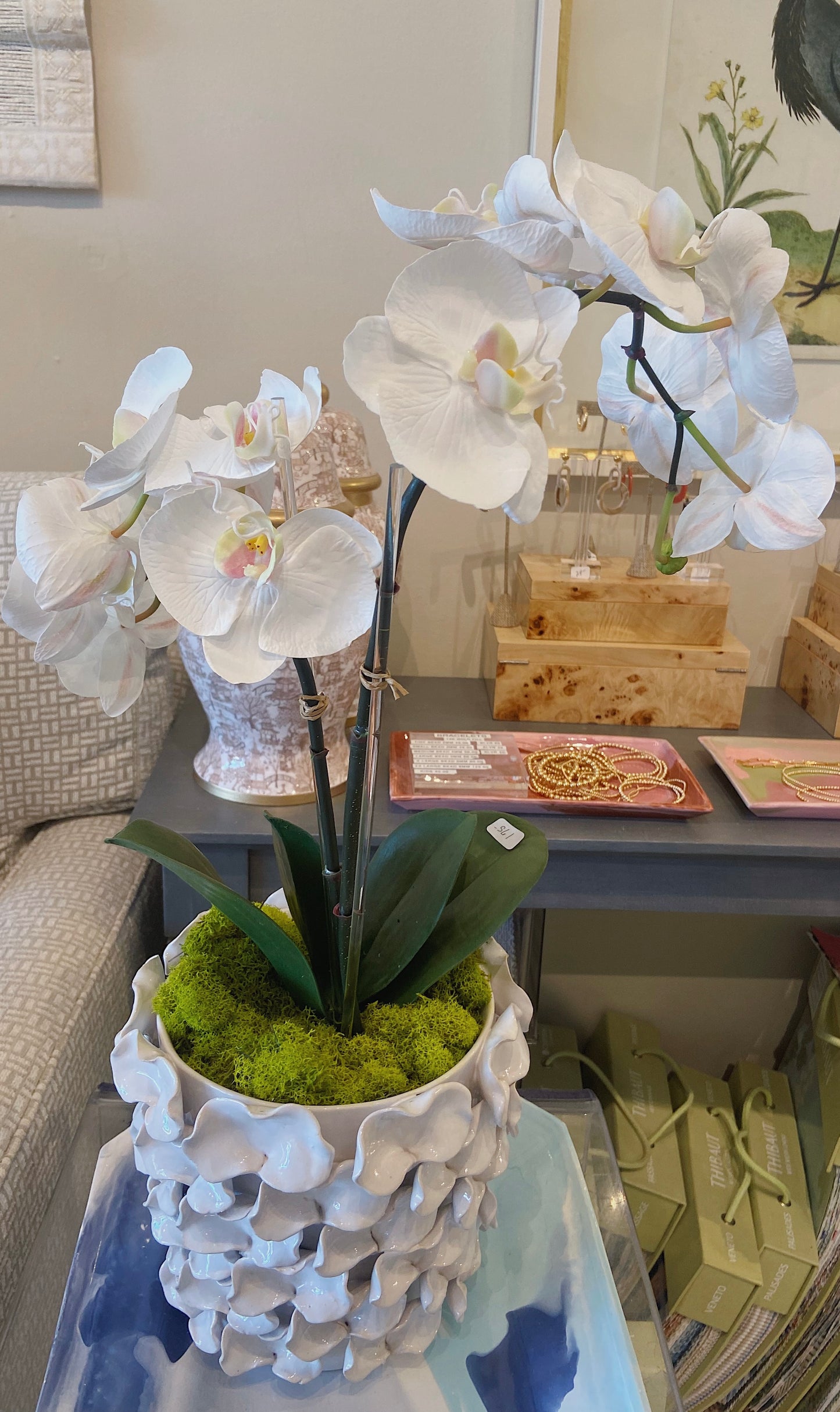 White orchid in petal pot
