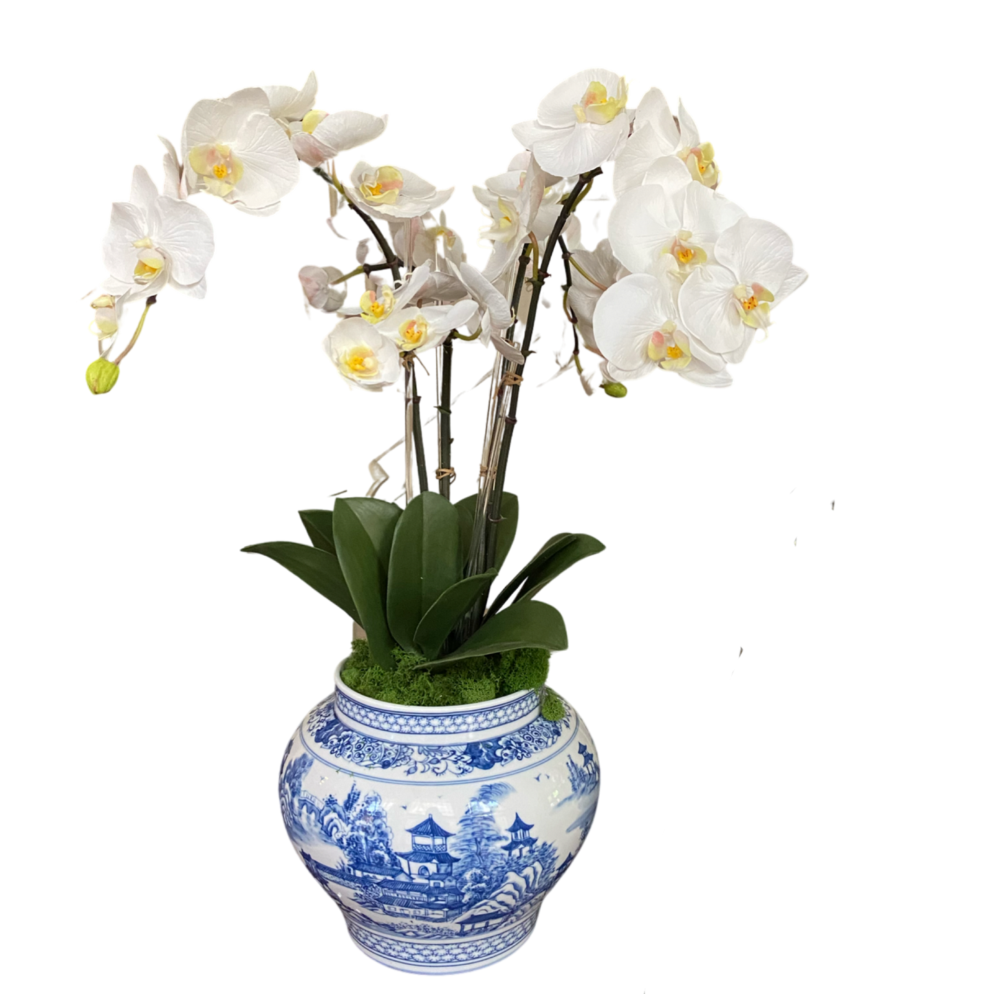 Chinoiserie Vase Silk Orchid