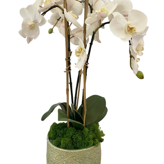 Sage Green Silk Orchid