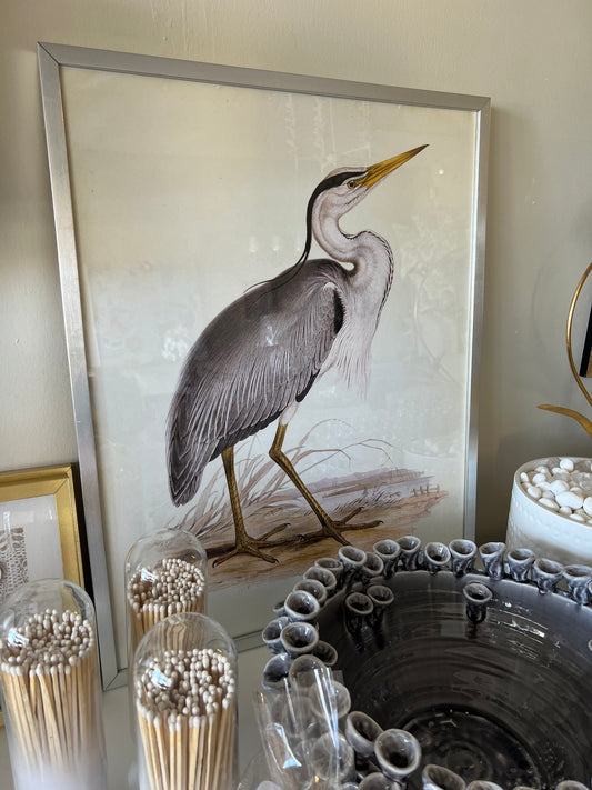 Heron Grey